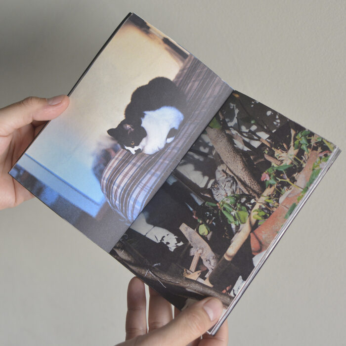 Gatitxs Zine - Imagen 3