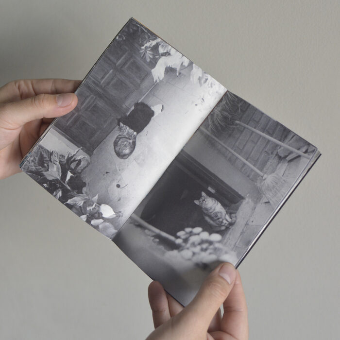 Gatitxs Zine - Imagen 4